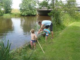 20140710 Waterbeestjes 059