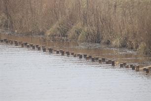 Aanpassing oever tegenover wedstrijdbaan Stadskanaal voor een betere visstand