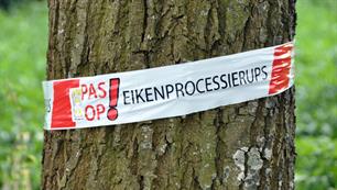 Bestrijding Eikenprocessierups aan de waterkant gemeente Emmen