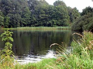 Brunstingerplas afgesloten