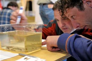 Cursus visherkenning in Tynaarlo: een mooie dag