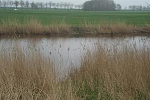 District Hunsingo: Uitslag Eerste Vrije Stekwedstrijd 5 april 2014 