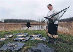 Duizenden vissen in Groningen en Drenthe leggen het loodje 