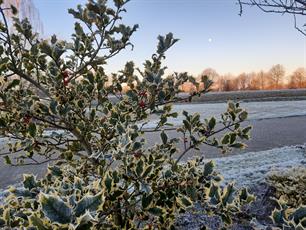 Federatiekantoor gesloten tussen Kerst en Oud & Nieuw