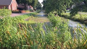 Handtekeningenactie voor schoon water in Borgercompagnie