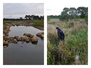 Hengelsportfederatie Groningen Drenthe en Noorderzijlvest maken vispassage schoon