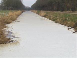 Mest in Mussel Aa Kanaal