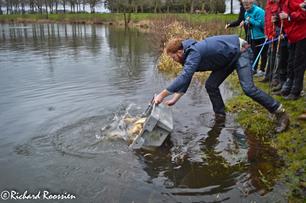 Nachtvissen Nieuw Buinen 