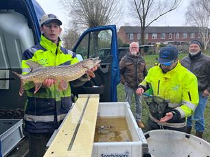 Onderzoek visstand in de vijvers in Assen