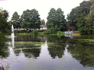 Schoonmaak vijver Slenerbrink-Zuidlaarderbrink