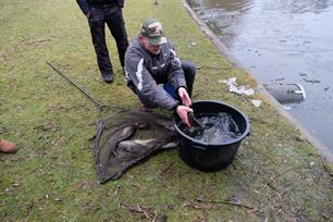 Update 4, Oosterparkwijk Groningen