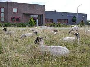 Update Lauwersmeer