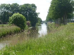 Verslag 3de Vrije Stekwedstrijd district Hunsingo 1 juni 2019