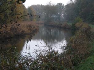 Verslag en Uitslag 2de Vrije Winterwedstrijd District Hunsingo 3 december 2022