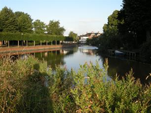 Verslag Zesde Vrije Stekwedstrijd District Hunsingo 1 oktober 2016