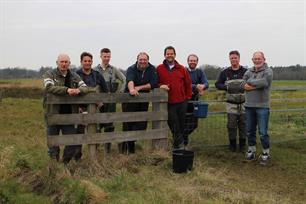 video uitzet jonge zeeforel