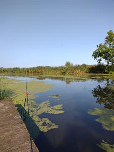 Vijfde vrije stekwedstrijd district Hunsingo