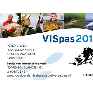 VISpas 2021