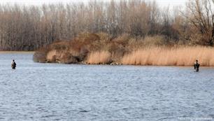 Vissen in het Lauwersmeer: niet in het riet!