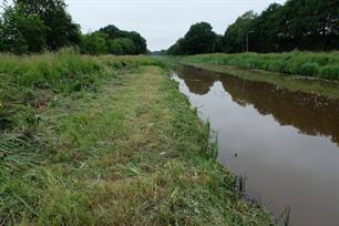 Visstekken Kanaal Buinen-Schoonoord