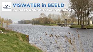 Viswater in beeld Stad Groningen eo