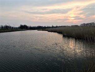 Viswateren Bad Nieuweschans naar de federatie