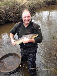 Zeeforel in Groningen en Drenthe